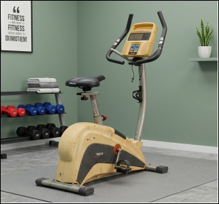 Trojan Fitness Stationary Exercise Bike (Upright Model)