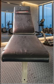 Trojan Dumbbell 200 Adjustable Multi-Purpose Weight Bench